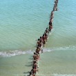 《川に着く前に橋を渡るな》2008年、ジブラルタル海峡　アクションの記録映像と写真　Photo:Jorge Golem