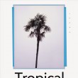 VOILLD_tropical_poster