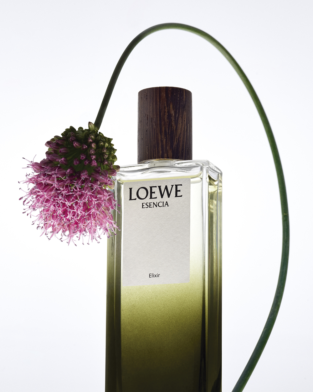 特徴フェロモン香水LOEWE エセンシア 50ml オードゥパルファム